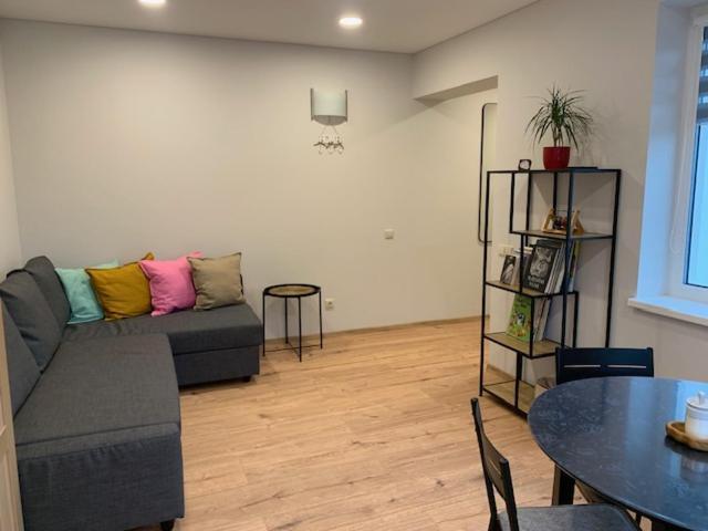 Cozy Apartment In Karmėlava Buitenkant foto
